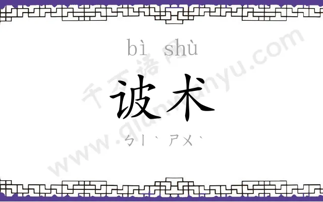 诐术