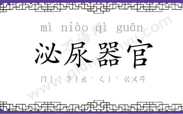 泌尿器官