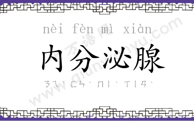 内分泌腺
