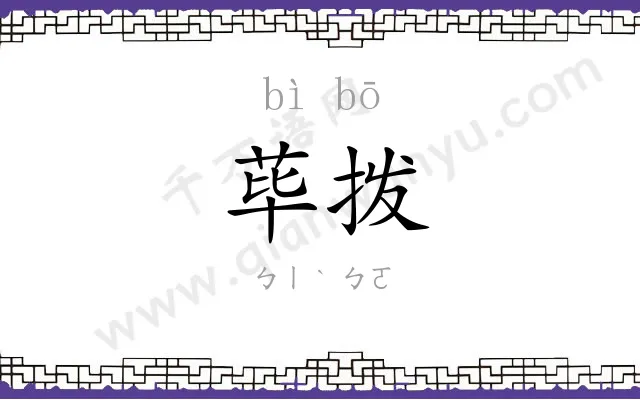 荜拨