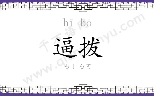 逼拨