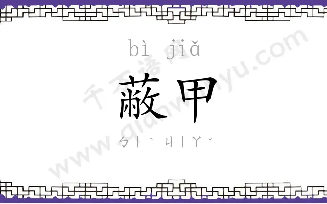 蔽甲