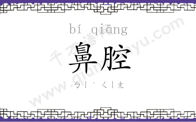 鼻腔