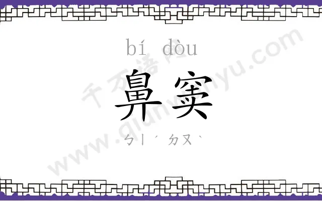 鼻窦