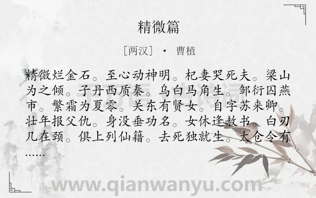 《精微篇》作者是两汉的曹植.诗词全文约共384字.