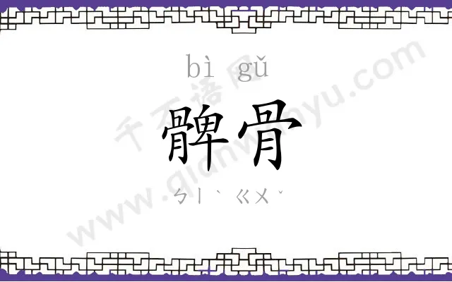 髀骨