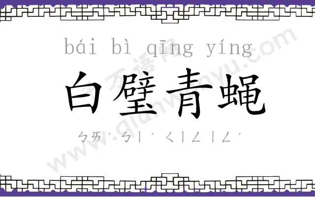 白璧青蝇