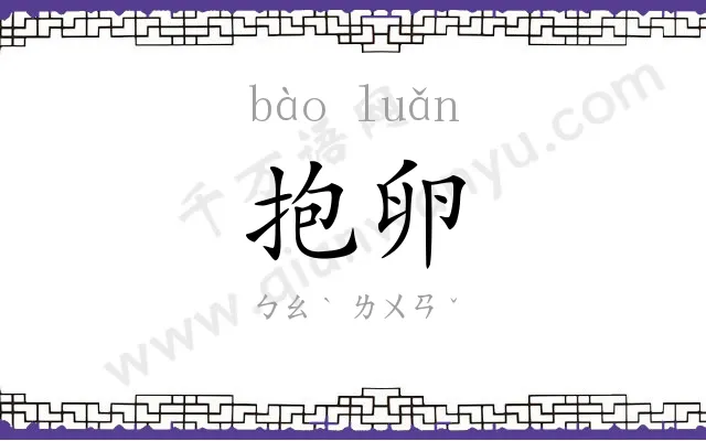 抱卵