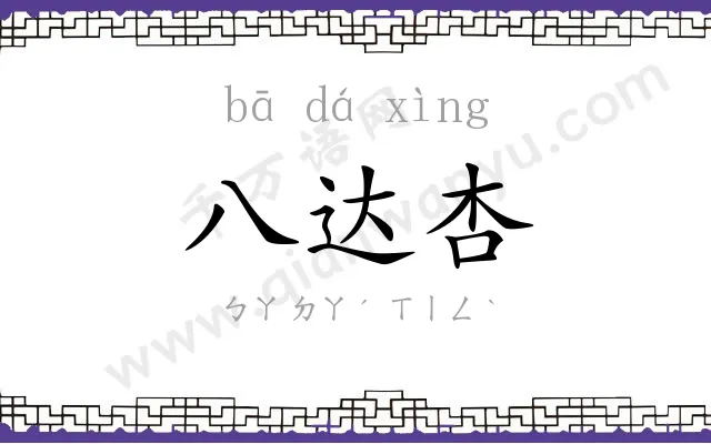 八达杏
