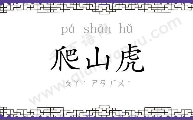 爬山虎