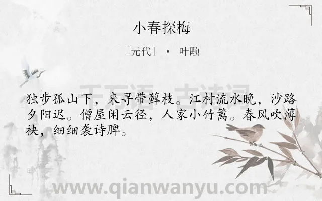 《小春探梅》作者是元代的叶颙.诗词全文约共48字.