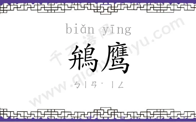 鴘鹰