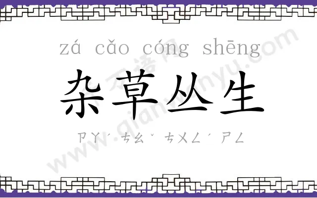 杂草丛生