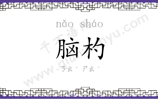 脑杓