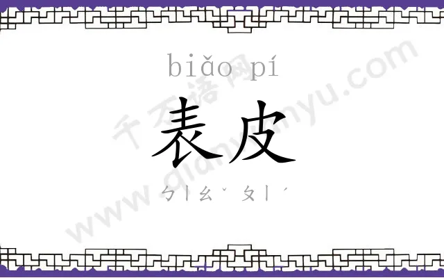 表皮