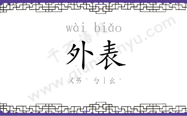 外表