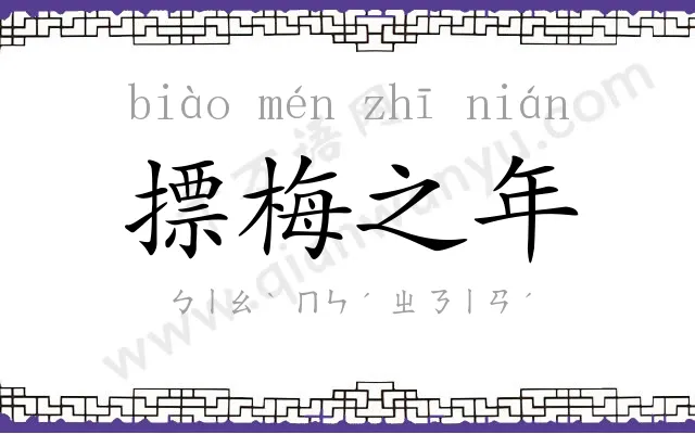 摽梅之年