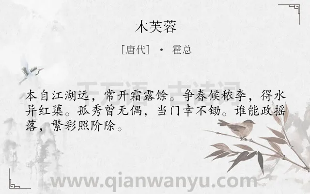 《木芙蓉》作者是唐代的霍总.诗词全文约共48字.