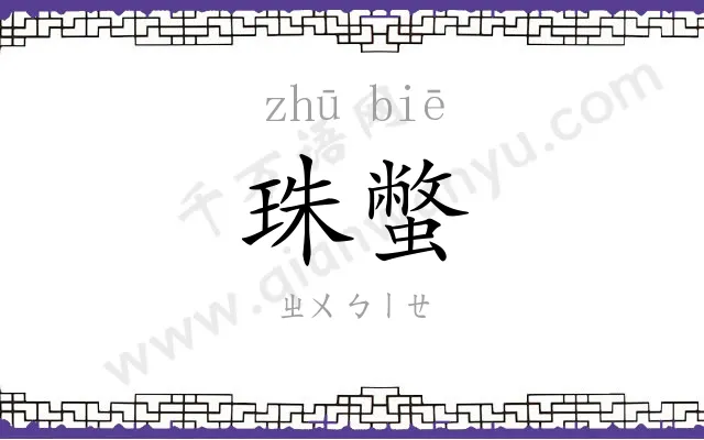 珠蟞