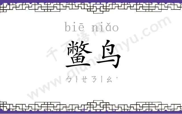 鳖鸟