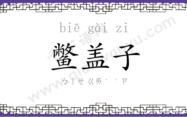 鳖盖子