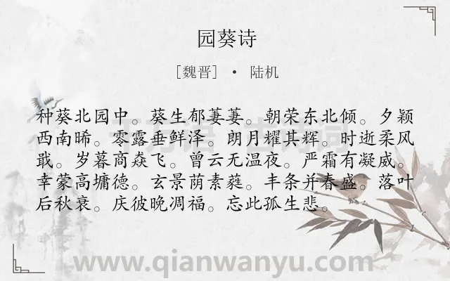 《园葵诗》作者是魏晋的陆机.诗词全文约共96字.