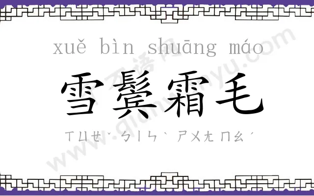 雪鬓霜毛