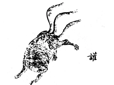 1645151244757555.png image.png