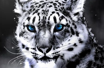 1600929552538380.png image.png