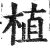 植(明·印刷字体·洪武正韵)