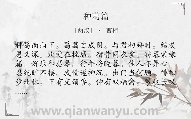 《种葛篇》作者是两汉的曹植.诗词全文约共156字.