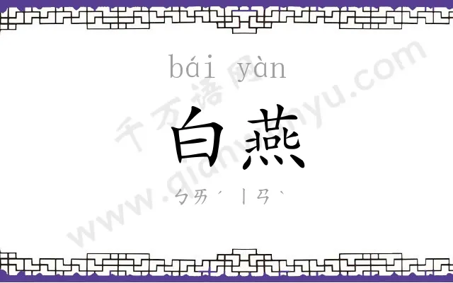 白燕