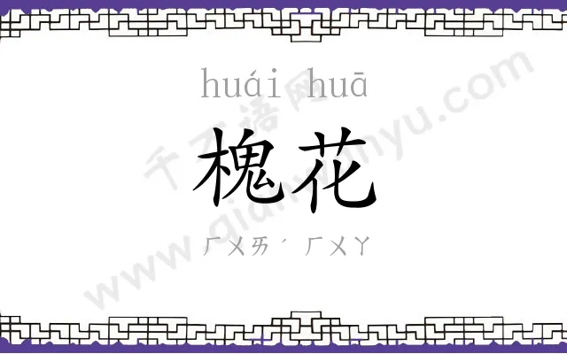 槐花