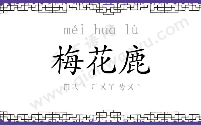 梅花鹿