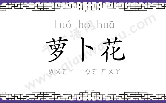 萝卜花