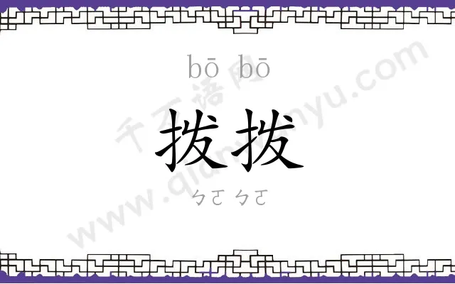 拨拨