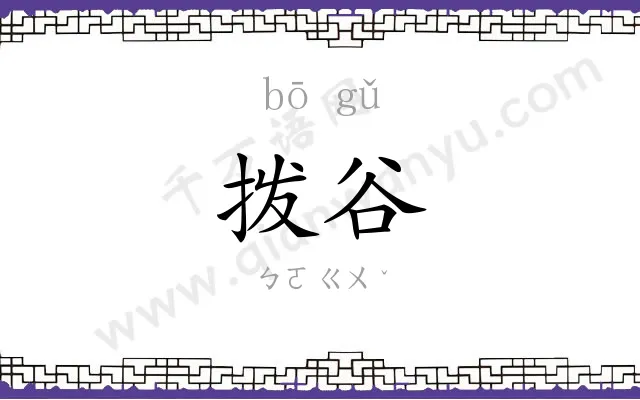 拨谷