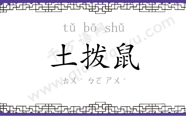 土拨鼠