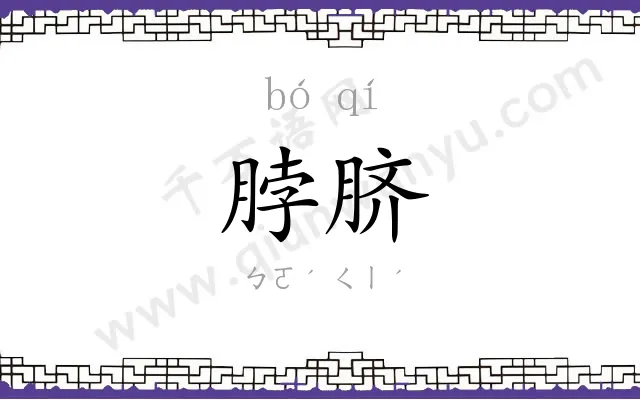 脖脐