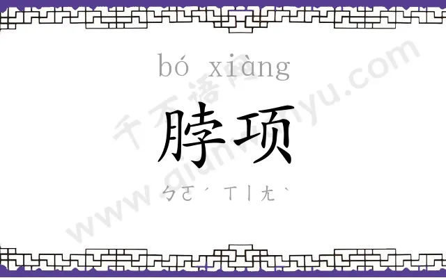 脖项