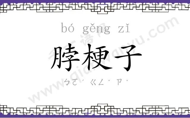 脖梗子