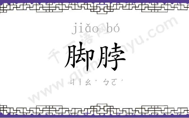 脚脖