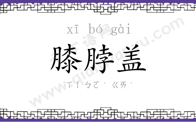 膝脖盖