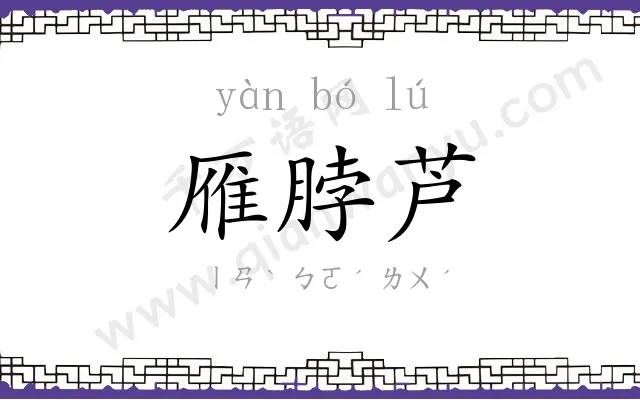 雁脖芦