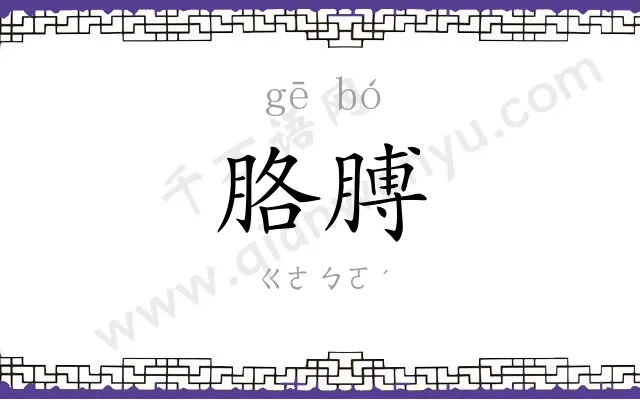 胳膊