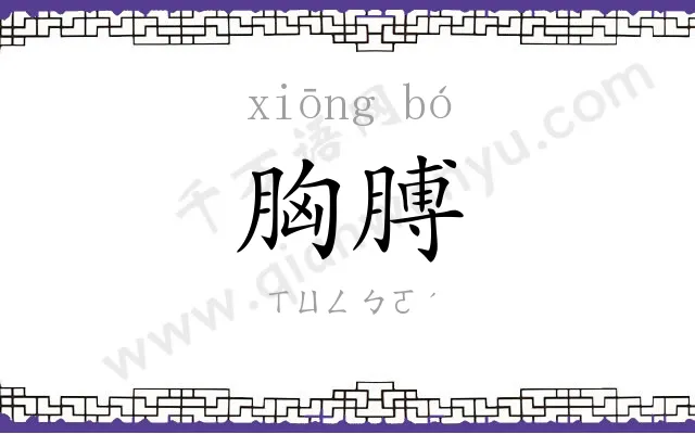 胸膊