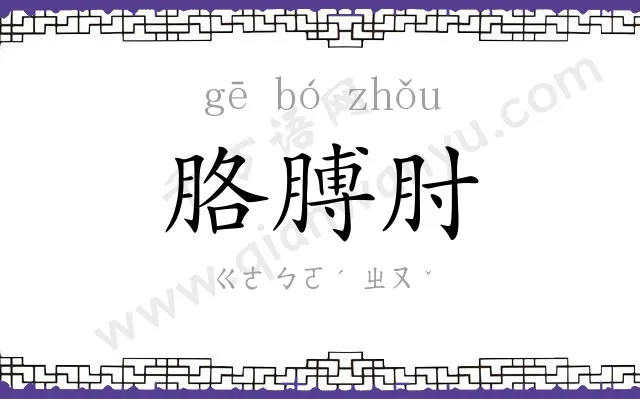 胳膊肘