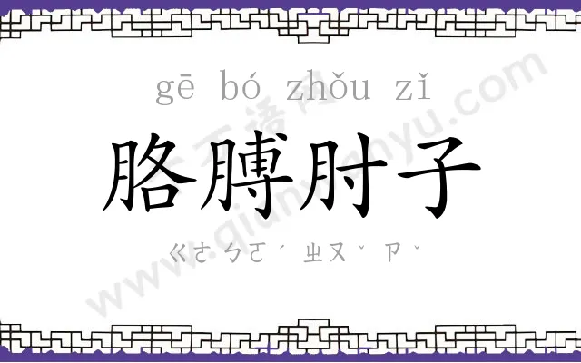 胳膊肘子