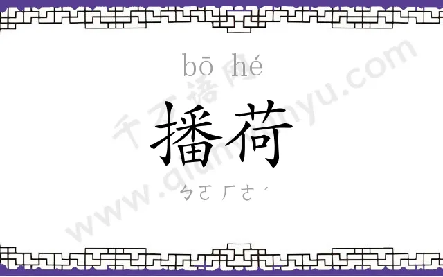 播荷