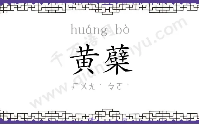 黄蘗